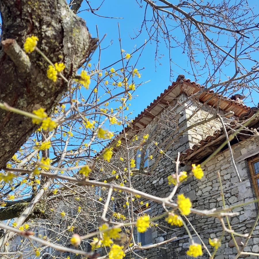 Bujtina Tusha Hotel Priska e Madhe Exterior foto