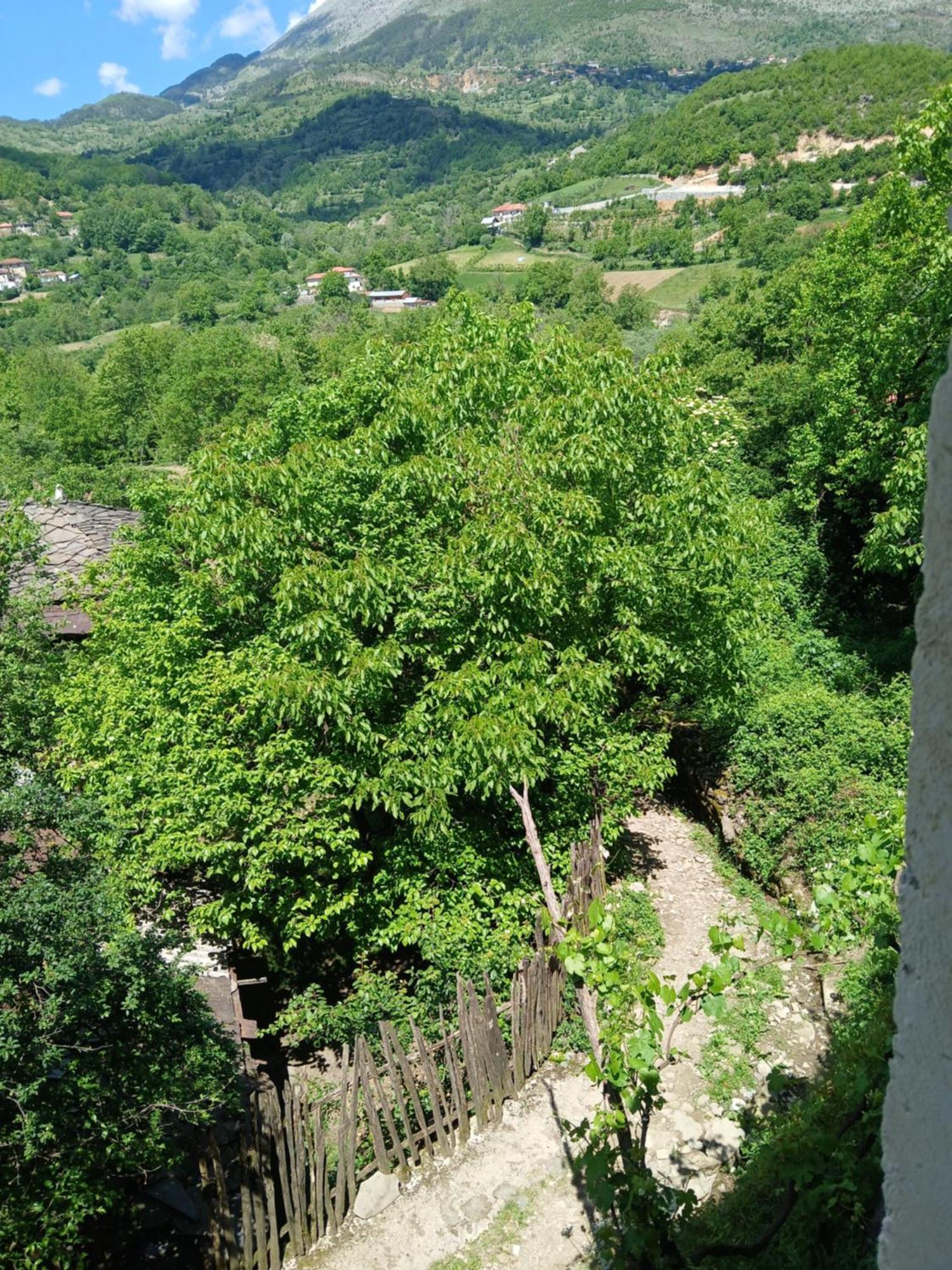 Bujtina Tusha Hotel Priska e Madhe Exterior foto
